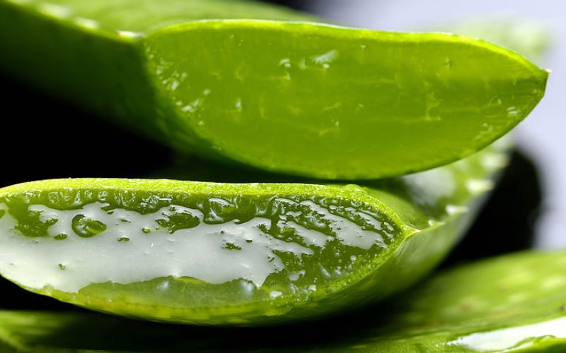 ¿POR QUÉ SE USA ALOE VERA EN COSMÉTICA NATURAL?